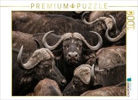 Calvendo Puzzle Buffalo | 1000 Pieces, Finished Size 25.2 × 18.9 In (64 × 48 Cm)
