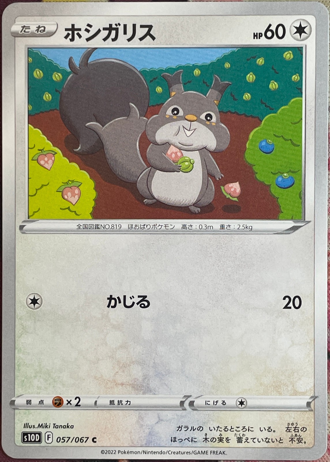 Skwovet - 057/067 C - Time Gazer S10D Pokemon 2022
