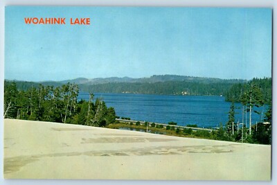 Oregon OR Postcard Coast Woahink Lake Evergreens Sand Dunes Exterior View c1960
