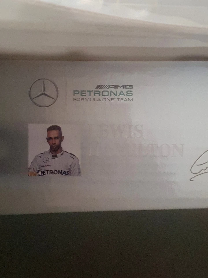 Minichamps Mercedes W05 Lewis Hamilton Winner Abu Dhabi 2014 World Champion - Immagine 4 di 4