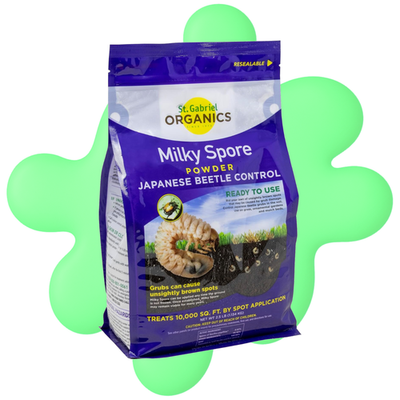 #ad St. Gabriel Organics Milky Spore Powder 40oz Grub Killer Japanese Beetle Control $88.99