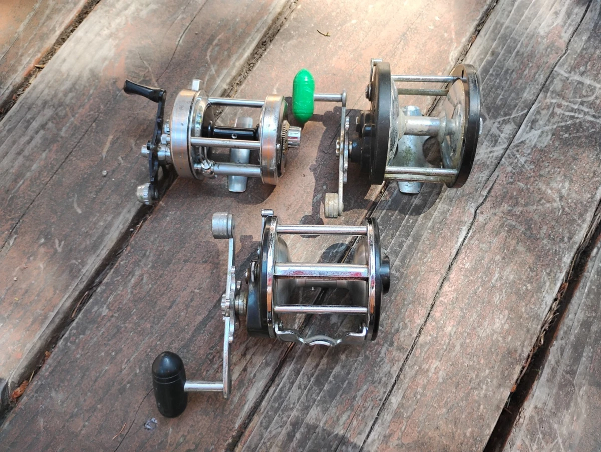 ebay saltwater fishing reels Reel, Heavy Duty Two Speed Conventional Jigging Reel for Saltwater and Freshwater Fishing Anglers Professional Recreational Fishing : Sports & Outdoors It is compact in size All Saltwater Species Vintage Fishing