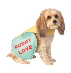 Image result for puppy love dog costume