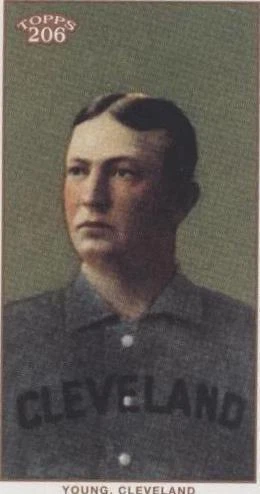 Mini Black Polar Bear Back