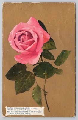 Romantic Pink Rose, Poem, Gold Background, Vintage Postcard