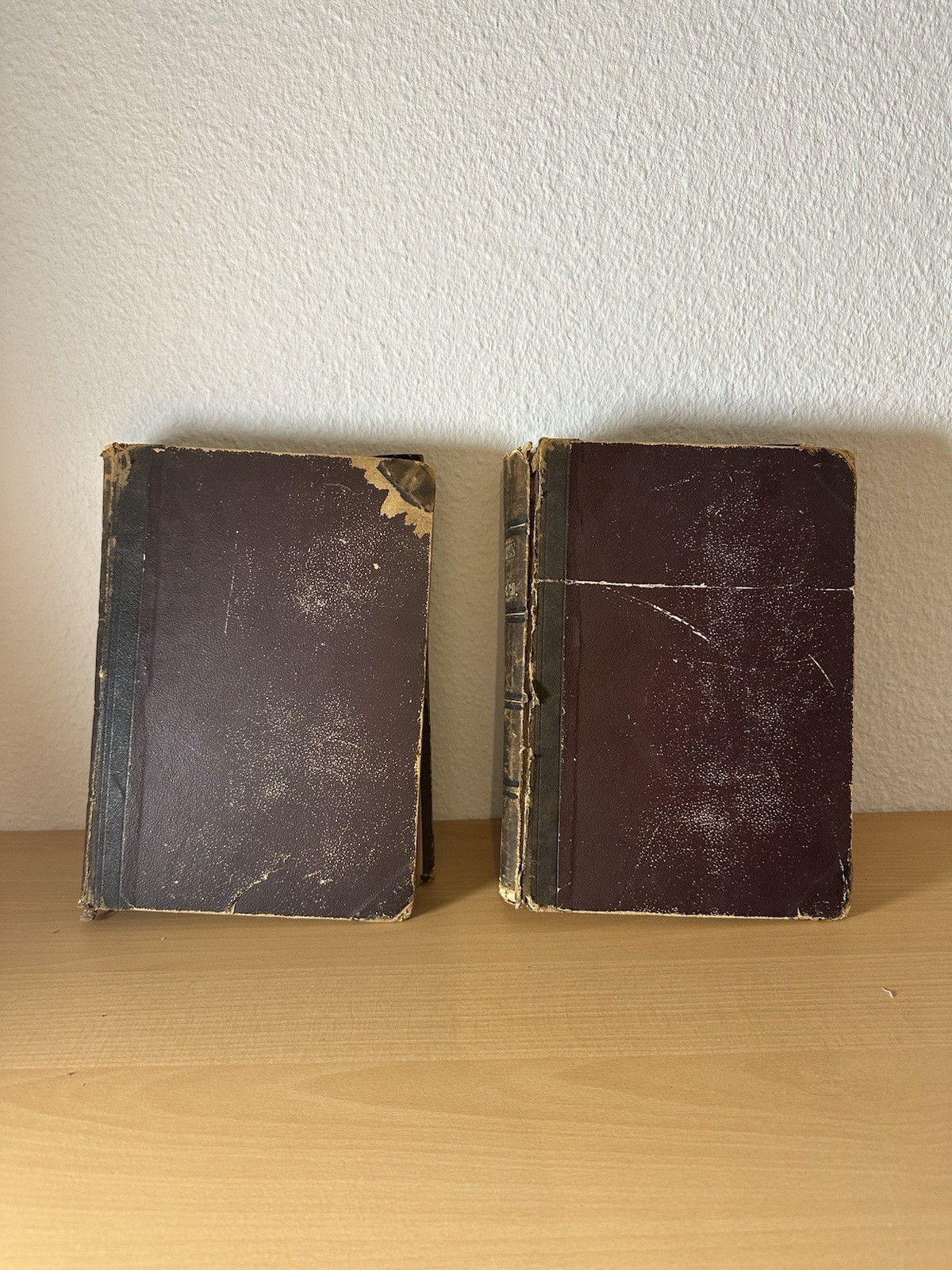 Brehms Thierleben 1877/78 2 volúmenes gran edición original