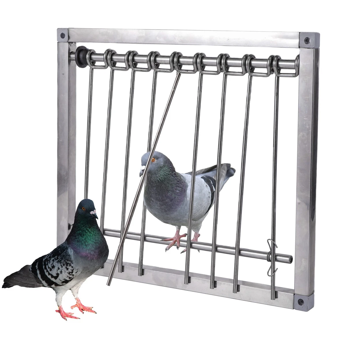 Piège à oiseaux, cages, et accessoires, achat neuf ou occasion