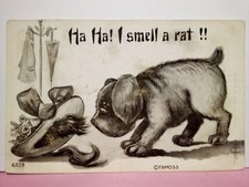 1909 dog cartoon Ha Ha! I Smell a Rat!! hair