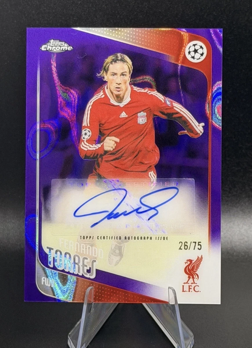 fernando torres | eBay