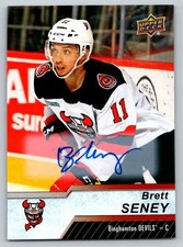 2020-21 Upper Deck AHL Hockey Cards Checklist 15