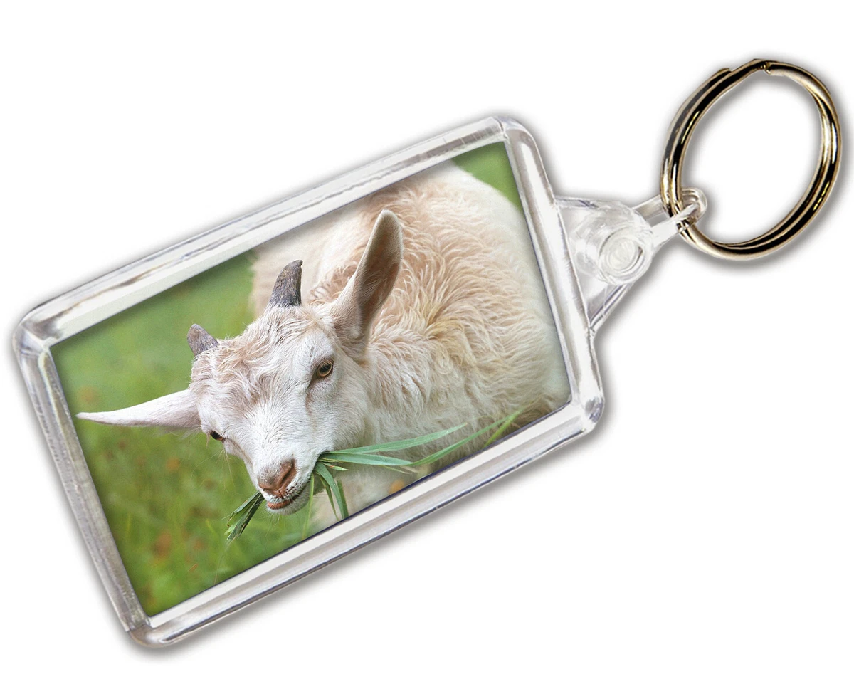 Goat keyring store