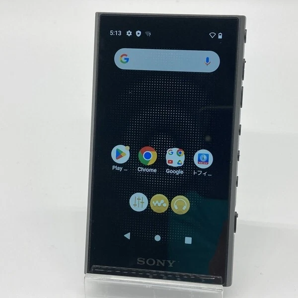 SONY WALKMAN NW-A306 32GB Hi-Res Audio Player Used Black Japan