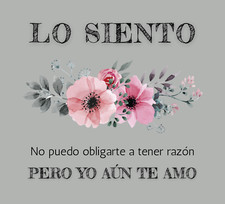 Lo Siento Organic T-Shirt Dress