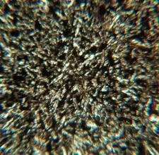 Thin-section Mount from IRDP Borehole Petrographic Microscope Slide IRDP 468.60