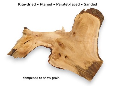 Rohe Linde Wurzelplatte Live Edge Holzscheibe Natur Maser #023