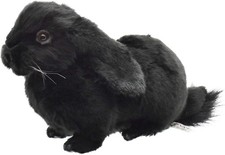 BH8142 HANSA Holland Lop Black 33