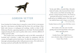 Gordon Setter - CUSTOM MATTED Dog Art Print - Breed Description and History