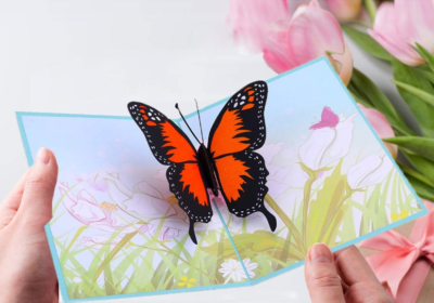 Handmade Butterfly Cards Mix And Match Butterflies Card Kit Handmade