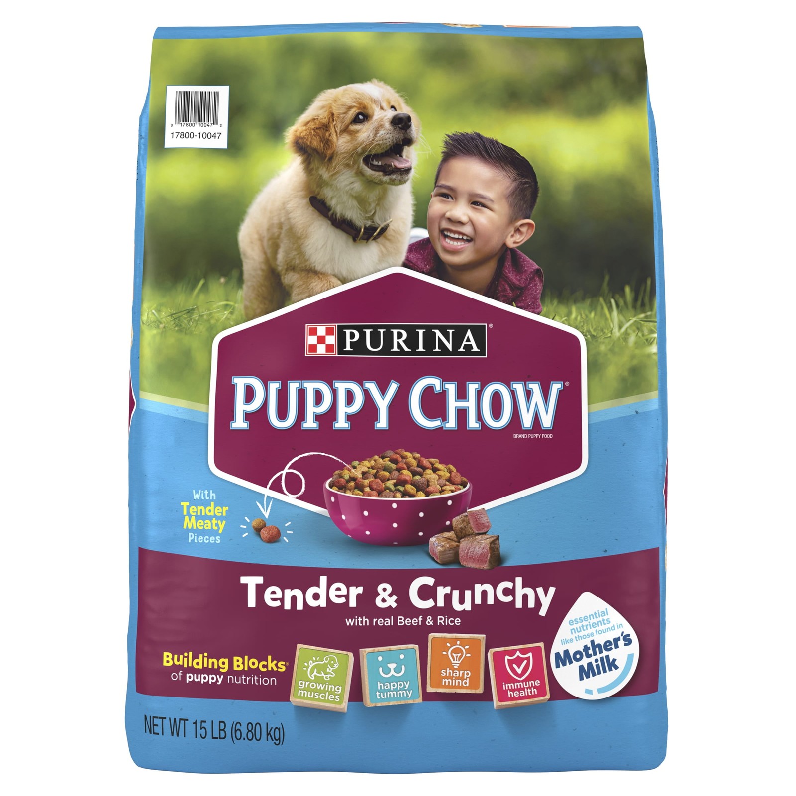 Purina Puppy Chow Dry Dog Food, High Protein Tender & Crunchy Real Beef Formula