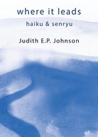 Judith E. P. Johnson | Where It Leads | Taschenbuch | Englisch (2018)