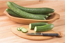 Poniente Organic (F1) Cucumber Seeds (25+ Seed Package)