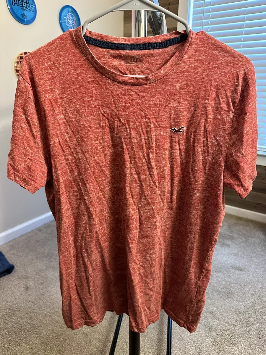 Hollister Shirt Men s Medium Must Have Collection Crew Neck T