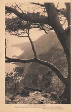 83 ILE DE PORT CROS - 11844