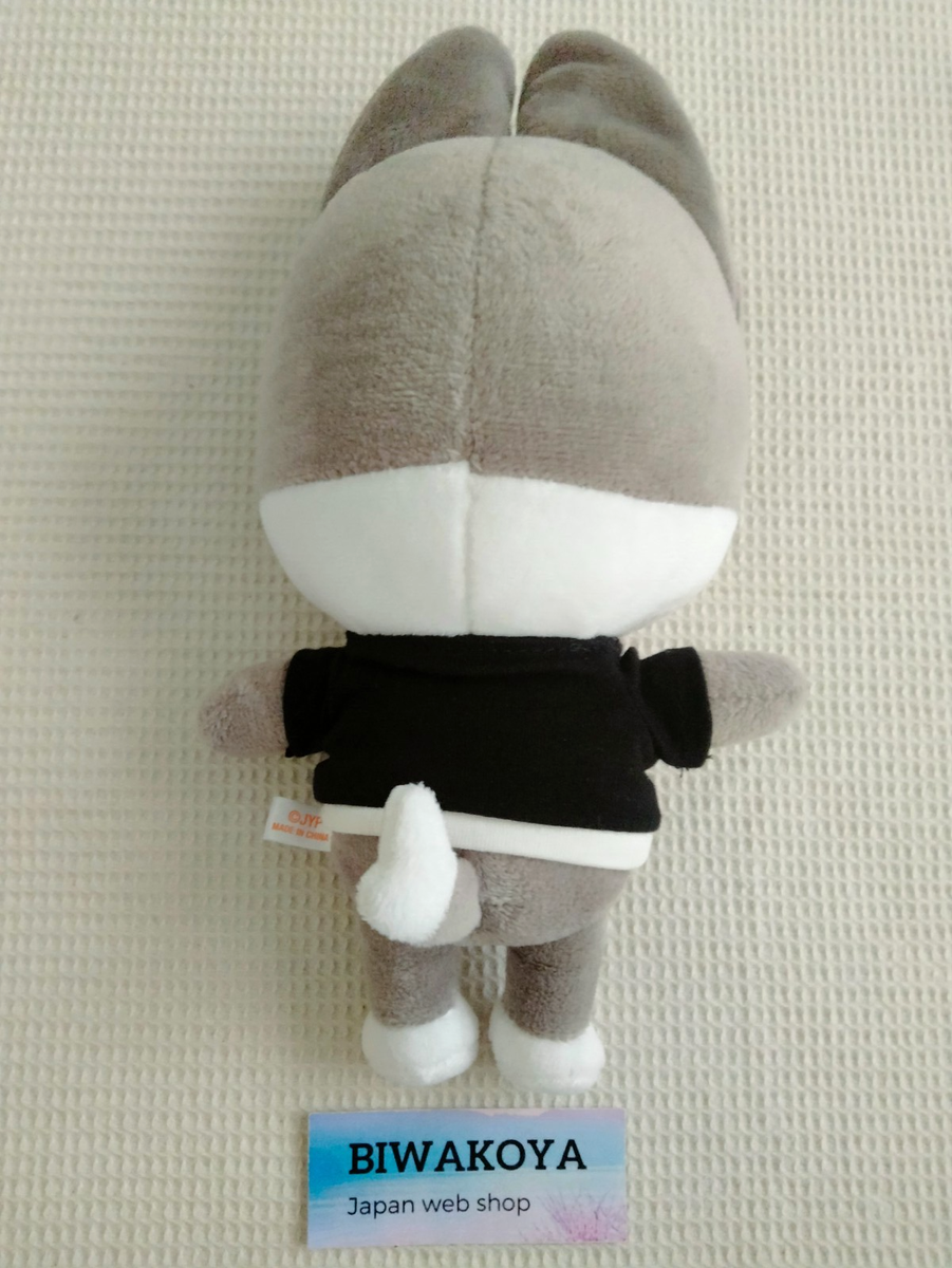 Stray Kids SKZOO Official Original Size Plush Toy Complete Set of