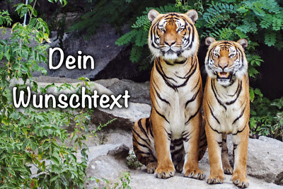 Tiger eßbar Tortenbild Party Deko personalisiert Geschenk Geburtstag Name Mama