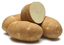 Teton Russet Potato -2 lbs pounds- Certified Whole Seed Potatoes for Spring