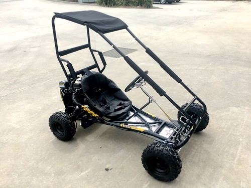 200cc 6.5HP Go Kart Wet Clutch Dune Buggy ATV Quad 4 Stroke Adult