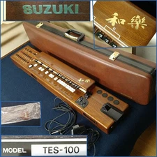 Suzuki Electronic Taisho-Koto TES-100 MIDI Harp w/ Hard Case Adapter