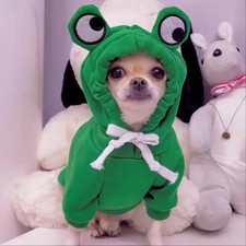 Cute Frog Pet Sweater For Small And Medium Dogs - Green Dog Hoodie Fun Design