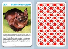 Burma Chocolate - Cats Waddingtons Super Top Trumps Card