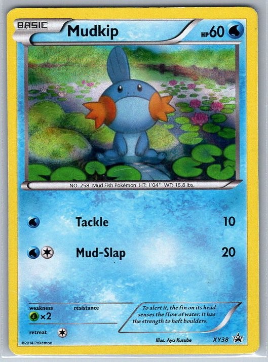 Mudkip XY38 Promo XY Promos HP