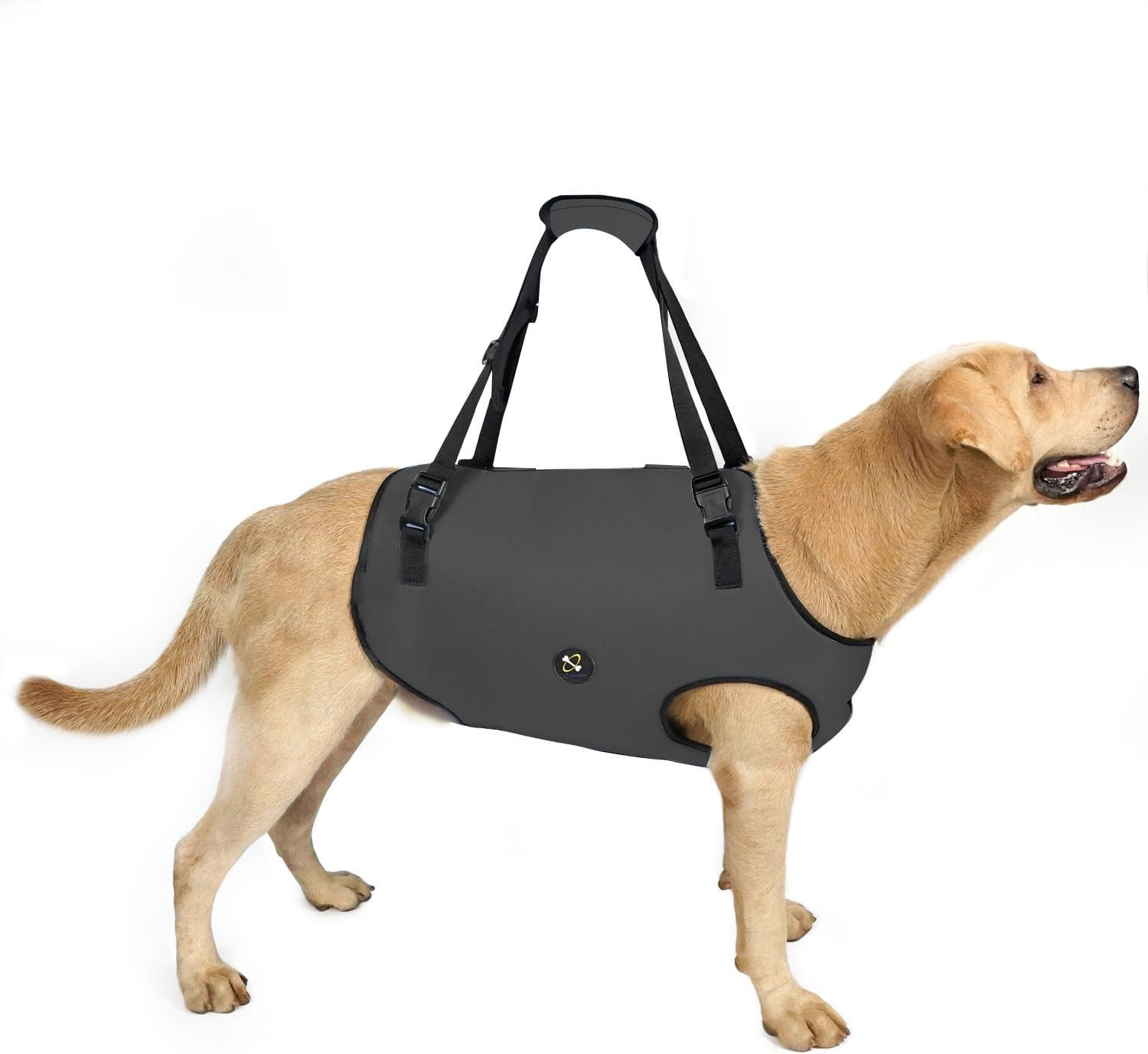 Sling di Supporto per Cani - Aiuto Sollevamento Taglia Grande