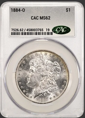 1884 O  MORGAN "CAC MS62 " - LUSTER/BREAST FEATHERS, HAIR, CRISP WHITE COIN💥✅