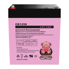 12V 5AH Sealed Lead Acid Battery for Alarm System by Charity Battery CB-1250