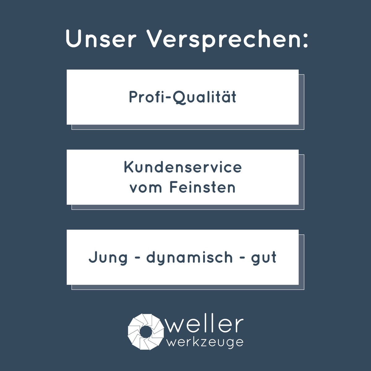 Image of Scheppach HM100MP Amazon website