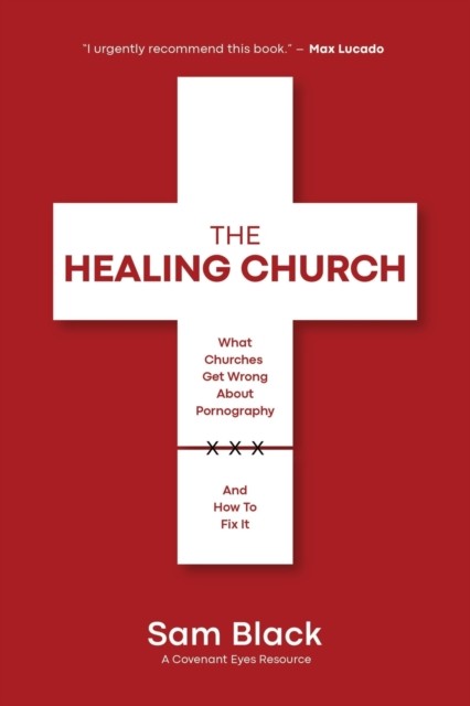 The Healing Church: What Churches Get Wrong about Pornography and How to Fix It - Image 4