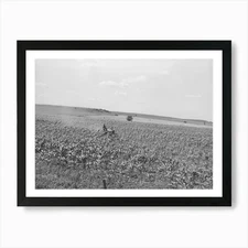 Untitled Photo, Possibly Related To Framed Wall Art Poster Canvas Print Picture