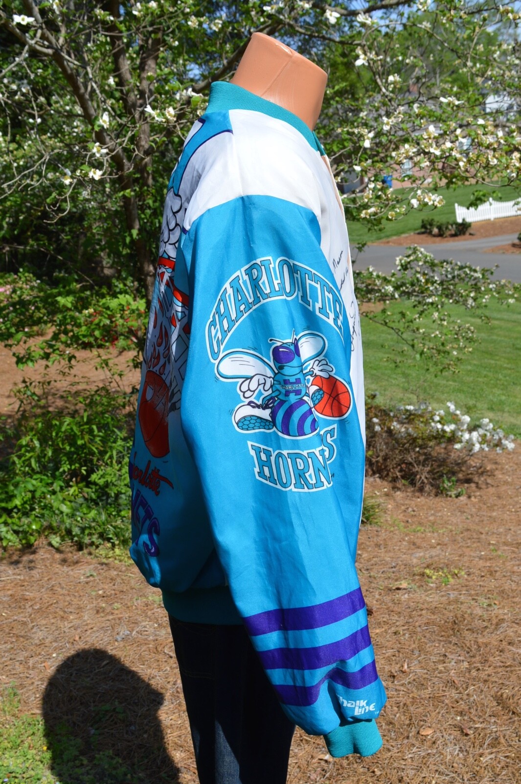 Picture 5 of 9