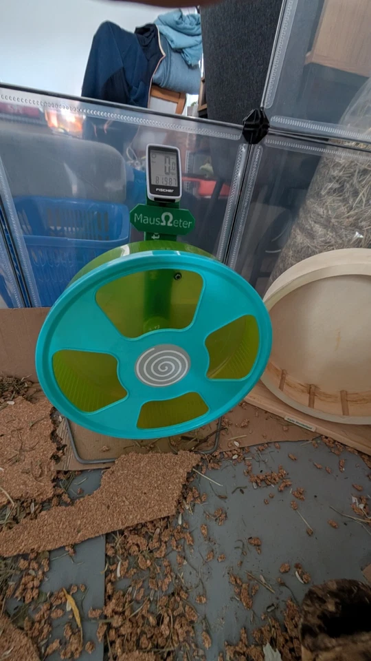 Mausrad mit Tacho Mäuse Laufrad Hamsterrad KM Zähler  - Bild 3 von 4