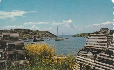 Vintage 1975 Monhegan Hafen Maine Postkarte östliche Illustration M2288