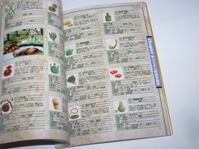 Atelier Marie Sega Saturn Version Official Guide Book Japan import US Seller