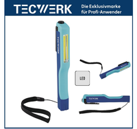 Tecwerk Led Taschenlampe / Arbeitslampe Mit Taschenclip + Magnet -80 Lumen IP44