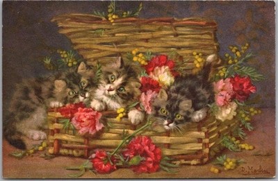 Edition Stehli CAT Postcard 3 Kittens in Flower Box - Artist D. MERLIN -No. 163