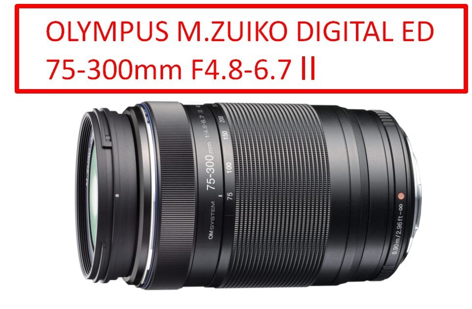 オリンパス M.ZUIKO ED 75-300mm F4.8-6.7 Ⅱ 【公式通販】