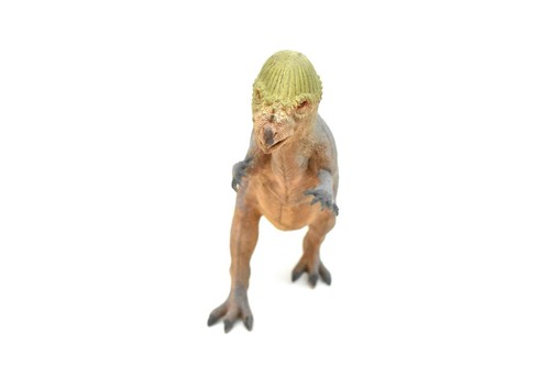 Stegoceras Toy, Dinosaur, Realistic Model, Plastic Replica, 14" CWG156 BB32 - 第 4/7 張圖片