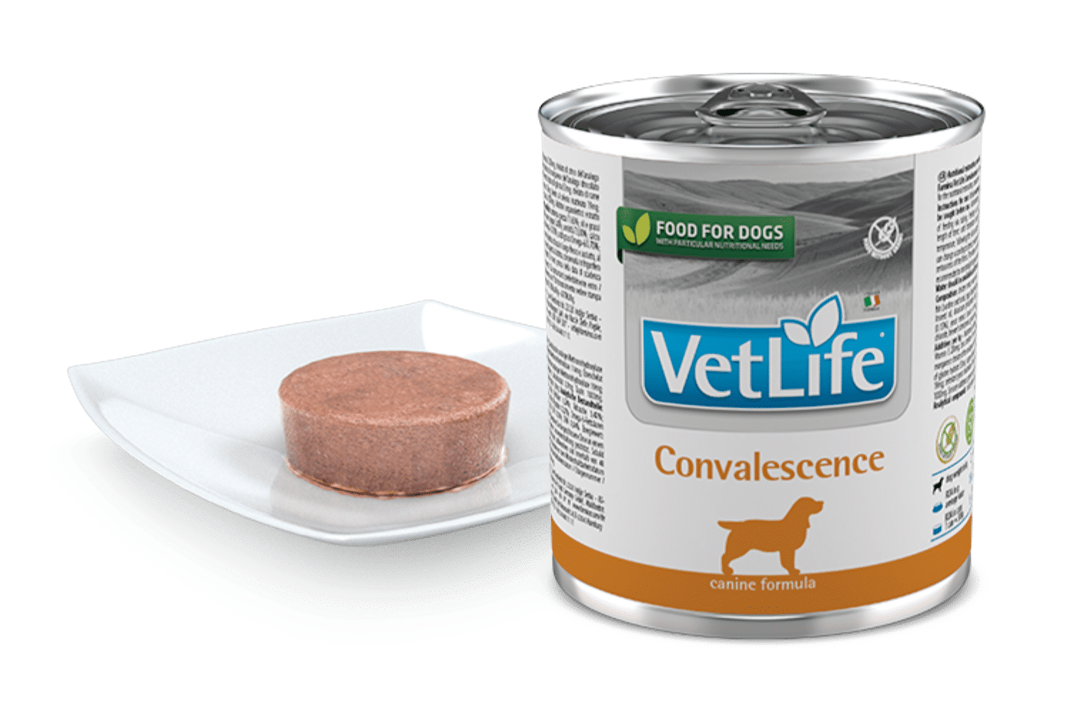 Farmina Vet Life Natural Diet Dog Convalescence 300gr